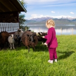 FLOSSY BUKSE Cerise 70